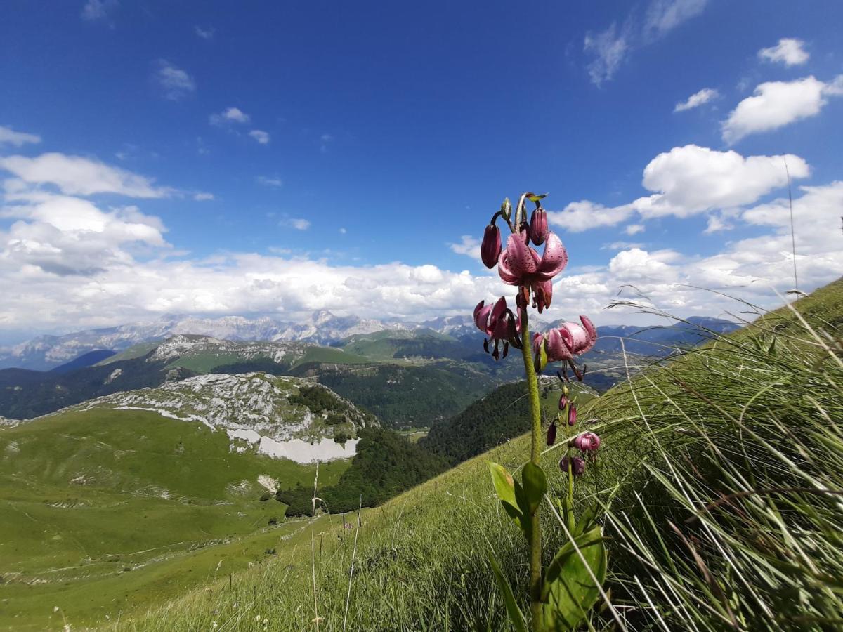 Bed and Breakfast Le Sareymond Menee Екстер'єр фото
